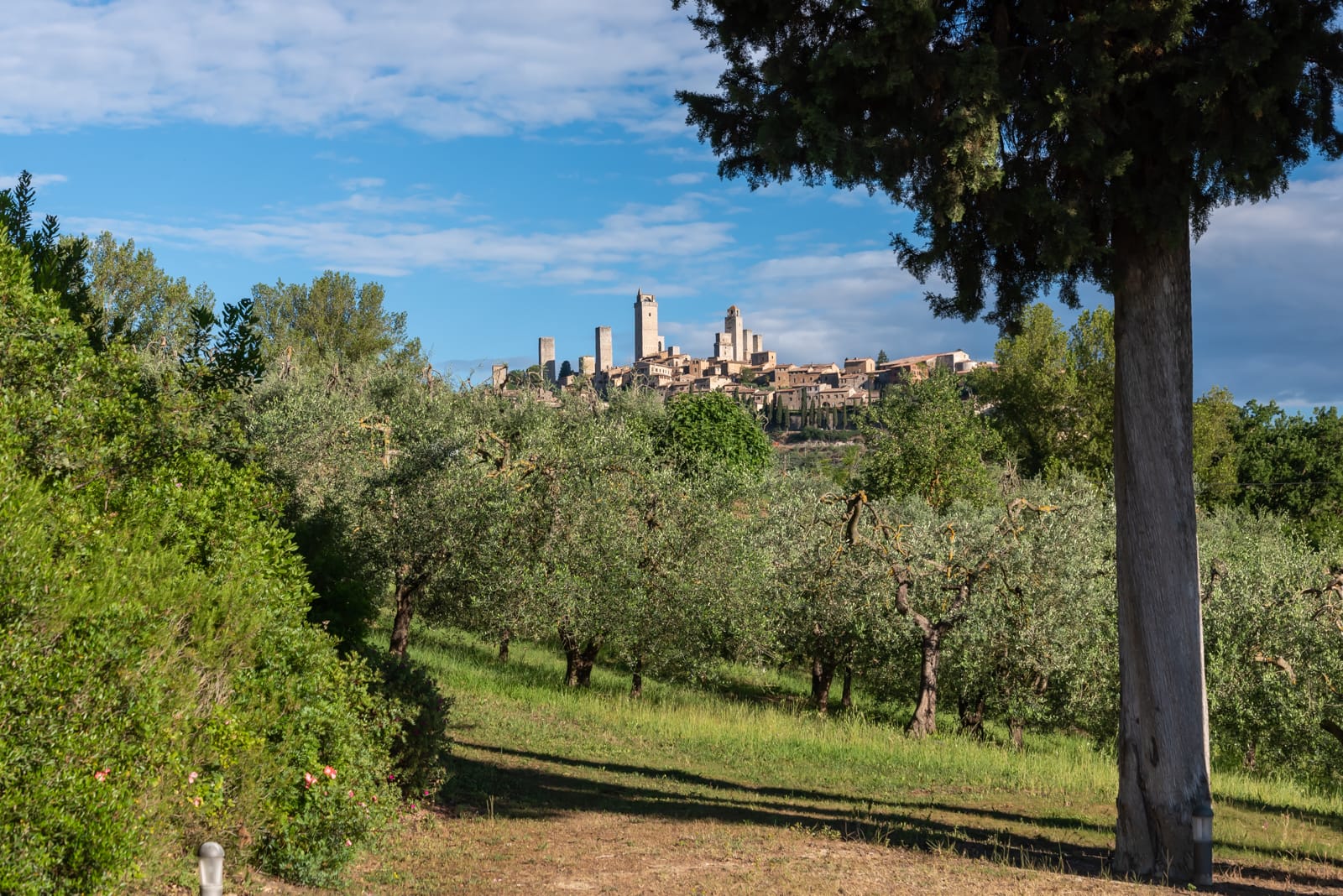Valori Tenuta Guardastelle San Gimignano